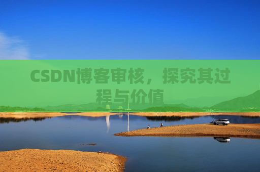 CSDN博客审核，探究其过程与价值