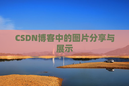 CSDN博客中的图片分享与展示